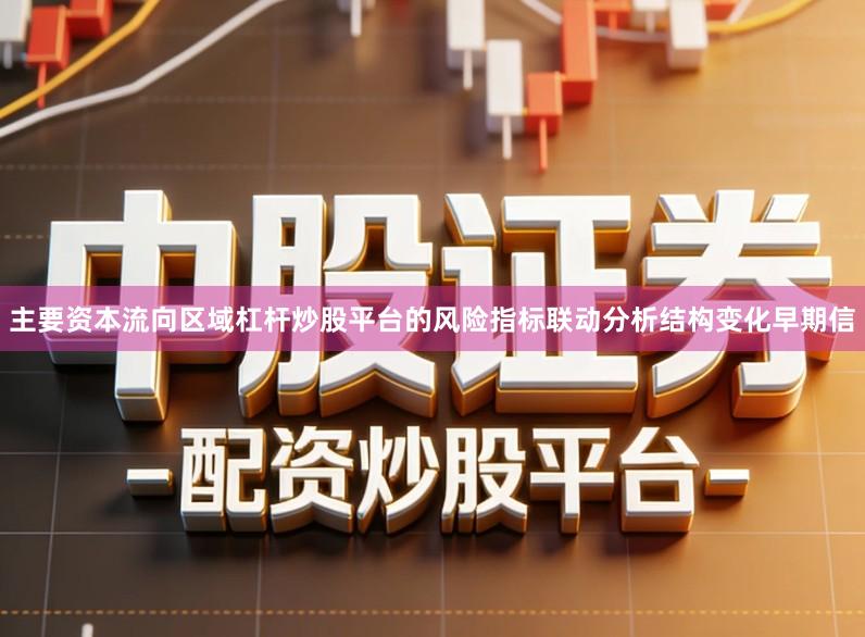主要资本流向区域杠杆炒股平台的风险指标联动分析结构变化早期信