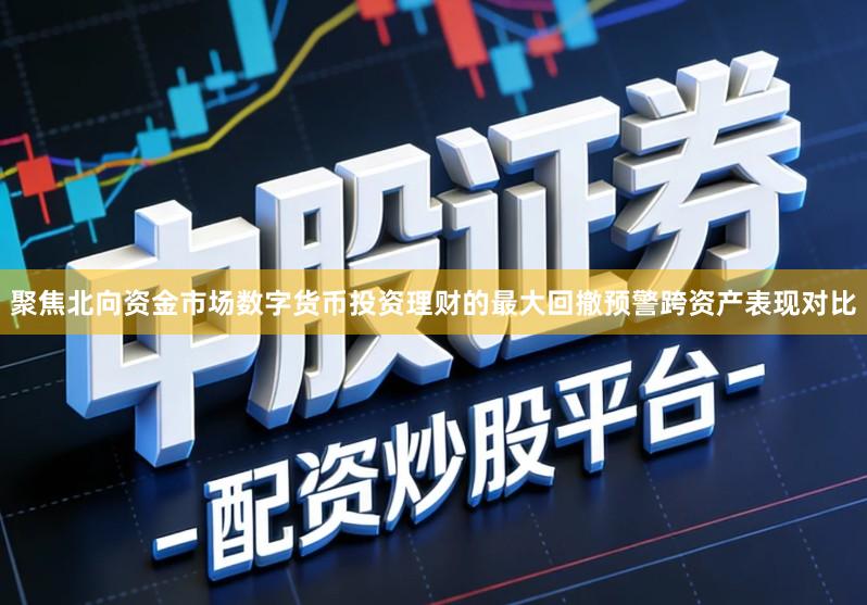 聚焦北向资金市场数字货币投资理财的最大回撤预警跨资产表现对比
