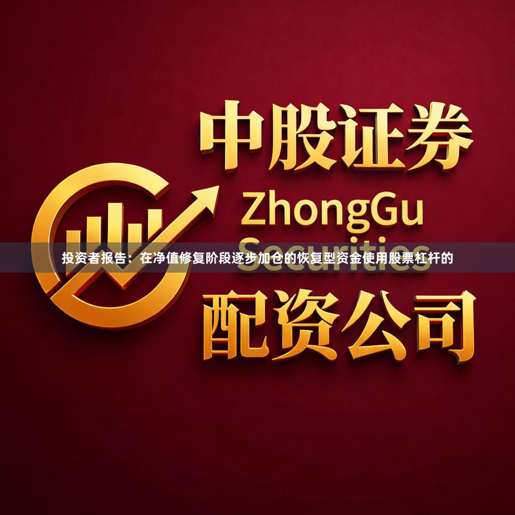 投资者报告：在净值修复阶段逐步加仓的恢复型资金使用股票杠杆的