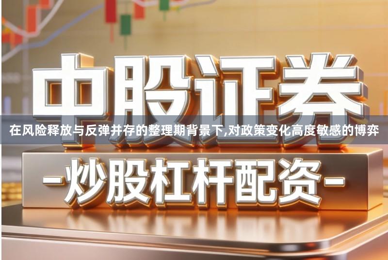 在风险释放与反弹并存的整理期背景下,对政策变化高度敏感的博弈